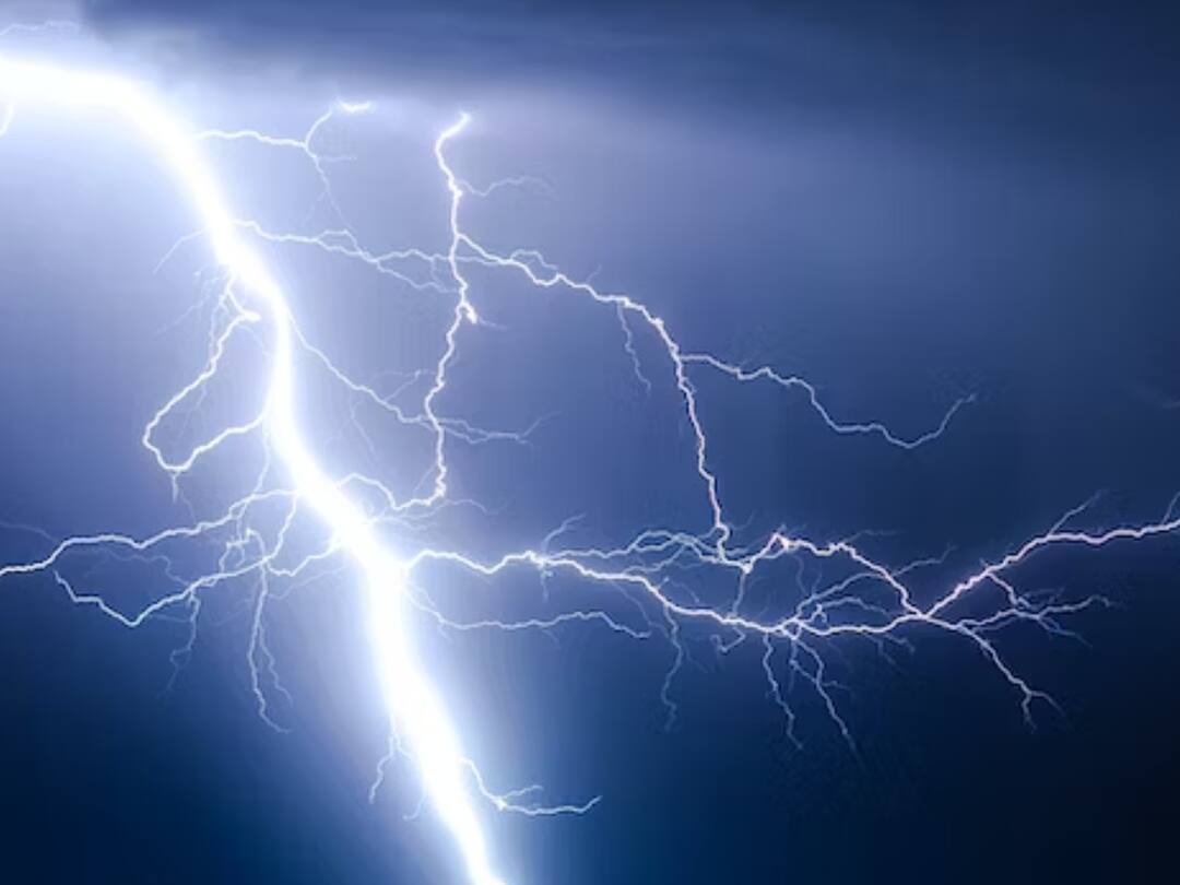 heavy rain and thunder 20 killed in gujarat union minister amit shah condolence Gujarat Rain: குஜராத்தில் பெய்யும் கனமழை: இடி மின்னல் தாக்கி 20 பேர் உயிரிழப்பு...