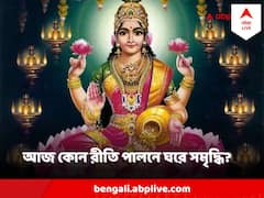 কার্তিক পূর্ণিমায় ঘরে হবে সমৃদ্ধি-বর্ষণ, মা লক্ষ্মীকে তুষ্ট করুন এই উপায়ে