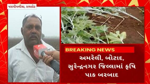 Rajkot News : રાજકોટ જિલ્લાના પરાપીપળીયા ગામે ખેડૂતોનો જીરૂનો પાક નિષ્ફળ