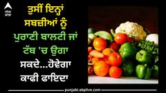 Vegetables: ਤੁਸੀਂ ਇਨ੍ਹਾਂ ਸਬਜ਼ੀਆਂ ਨੂੰ ਪੁਰਾਣੀ ਬਾਲਟੀ ਜਾਂ ਟੱਬ 'ਚ ਉਗਾ ਸਕਦੇ...ਹੋਵੇਗਾ ਕਾਫੀ ਫਾਇਦਾ
