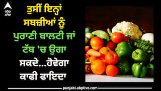 Vegetables: ਤੁਸੀਂ ਇਨ੍ਹਾਂ ਸਬਜ਼ੀਆਂ ਨੂੰ ਪੁਰਾਣੀ ਬਾਲਟੀ ਜਾਂ ਟੱਬ 'ਚ ਉਗਾ ਸਕਦੇ...ਹੋਵੇਗਾ ਕਾਫੀ ਫਾਇਦਾ