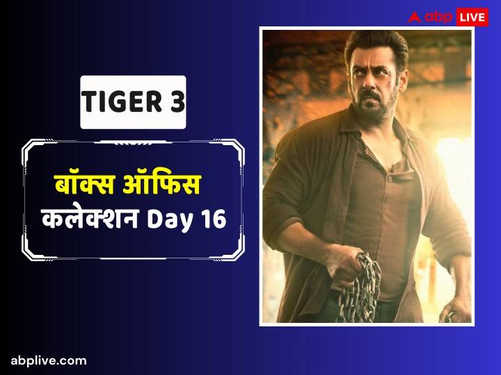 Tiger 3 Box Office Collection Day 17 Salman Khan Film earn 2 crore 25 lakh on seventeenth day third Tuesday Tiger 3 Box Office Collection Day 17: बॉक्स ऑफिस पर Tiger 3 की थम रही सांसे, 300 करोड़ का आंकड़ा पार करना हुआ मुश्किल, जानें-17वें दिन का कलेक्शन