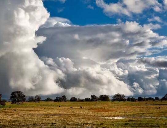 ਮੀਂਹ ਕਾਰਨ ਕਿਸਾਨਾਂ ਦਾ ਆਰਥਿਕ ਨੁਕਸਾਨ ਹੋ ਸਕਦਾ ਹੈ। ਕਿਸਾਨਾਂ ਅਨੁਸਾਰ ਇਸ ਮੀਂਹ ਕਾਰਨ ਫ਼ਸਲਾਂ ਦਾ ਨੁਕਸਾਨ ਹੋਇਆ ਹੈ।