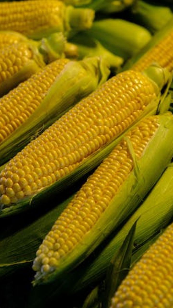 செரிமான மற்றும் குடல் இயக்கத்தை மேம்படுத்தலாம்