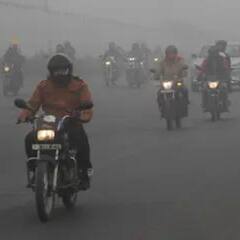 Health Tips: শীতে কেন নিয়মিত চিনাবাদাম খাবেন ?