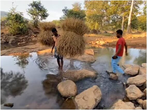 Bastar: बस्तर के इस गांव के युवकों से शादी नहीं करना चाहती युवतियां, वजह जान हो जाएंगे हैरान!