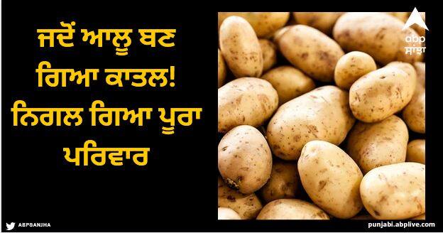 entire Russian family dies due to deadly gas released from rotten potatoes Viral News: ਜਦੋਂ ਆਲੂ ਬਣ ਗਿਆ ਕਾਤਲ! ਨਿਗਲ ਗਿਆ ਪੂਰਾ ਪਰਿਵਾਰ, ਕੀ ਤੁਸੀਂ ਵੀ ਅਜਿਹੀ ਗਲਤੀ ਕਰ ਰਹੇ ਹੋ?