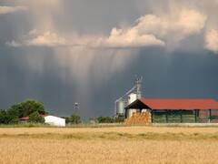 Rain: ਹੁਣ ਕਈ ਸ਼ਹਿਰਾਂ ‘ਚ ਪੈ ਰਿਹਾ ਲਗਾਤਾਰ ਮੀਂਹ, ਜਾਣੋ ਕਿਸਾਨਾਂ ਲਈ ਕਿਵੇਂ ਦਾ ਸਾਬਤ ਹੋ ਸਕਦਾ ਮੀਂਹ