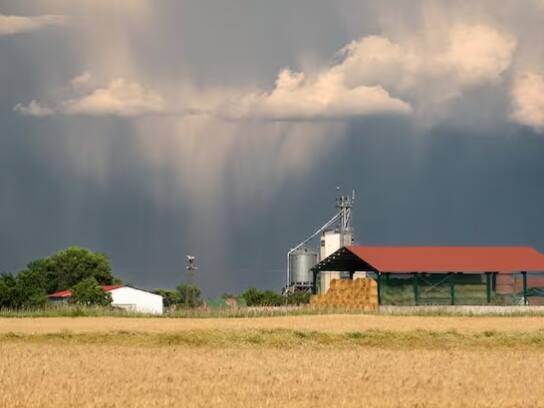 ਜੇਕਰ ਸਹੀ ਸਮੇਂ ‘ਤੇ ਸਹੀ ਮਾਤਰਾ ਵਿੱਚ ਬਾਰਿਸ਼ ਹੁੰਦੀ ਹੈ ਤਾਂ ਇਹ ਕਿਸਾਨਾਂ ਲਈ ਲਾਹੇਵੰਦ ਹੋ ਸਕਦੀ ਹੈ। ਮੀਂਹ ਨਾਲ ਫ਼ਸਲਾਂ ਨੂੰ ਲੋੜੀਂਦਾ ਪਾਣੀ ਮਿਲਦਾ ਹੈ, ਜਿਸ ਨਾਲ ਫ਼ਸਲ ਦਾ ਝਾੜ ਵਧਦਾ ਹੈ। ਇਸ ਦੇ ਨਾਲ ਹੀ ਮੀਂਹ ਨਾਲ ਜ਼ਮੀਨ ਵਿੱਚ ਨਮੀ ਬਣੀ ਰਹਿੰਦੀ ਹੈ, ਜਿਸ ਨਾਲ ਜ਼ਮੀਨ ਦੀ ਉਪਜਾਊ ਸ਼ਕਤੀ ਵਧਦੀ ਹੈ।