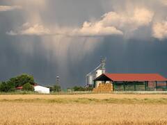 अभी कई शहरों में आ रही है लगातार बारिश, जानिए किसानों के लिए ये बारिश कैसी साबित होगी?