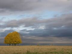 अभी कई शहरों में आ रही है लगातार बारिश, जानिए किसानों के लिए ये बारिश कैसी साबित होगी?