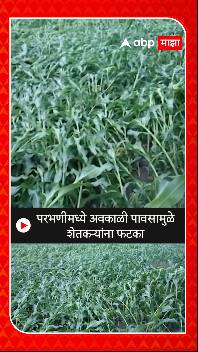 Parbhani Rain : परभणीत अवकाळी पावासामुळे शेतकऱ्यांना फटका