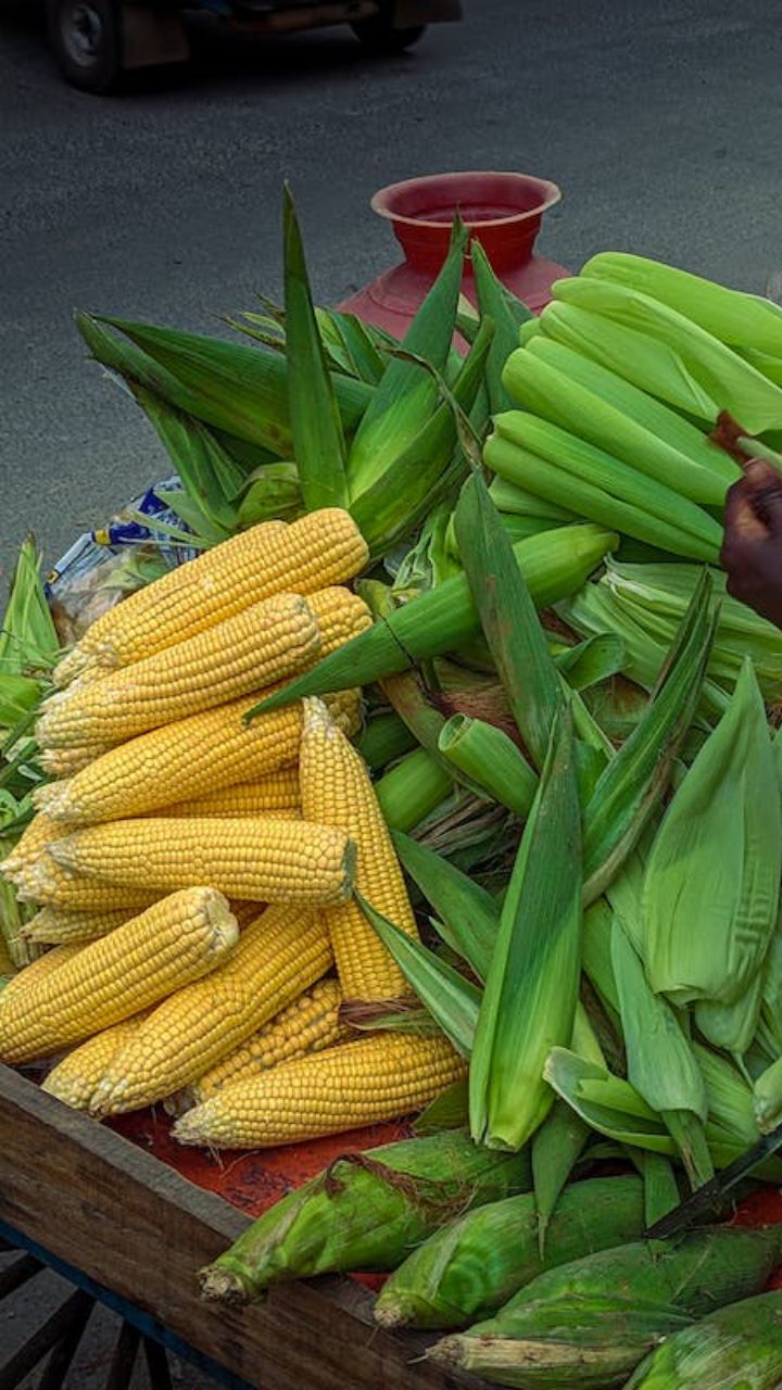 ஸ்வீட் கார்ன் உலகெங்கும் பயன்படுத்தப்படுகிறது