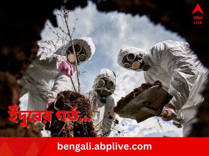 Uttarakhand Tunnel Rescue Silkyara tunnel rescuers resort traditional mining method rat hole mining know details Uttarakhand Tunnel Rescue: বিপজ্জনক বলে নিষিদ্ধ করেছিল আদালত, উত্তরাখণ্ডের সুড়ঙ্গে কাজে এল সেই ‘ব়্যাটহোল মাইনিং’ই
