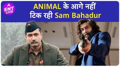 Animal और Sam Bahadur की होगी टक्कर, Advance Booking में आगे निकल रही Animal