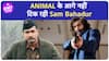 Animal और Sam Bahadur की होगी टक्कर, Advance Booking में आगे निकल रही Animal