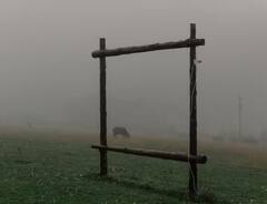 Rain: ਹੁਣ ਕਈ ਸ਼ਹਿਰਾਂ ‘ਚ ਪੈ ਰਿਹਾ ਲਗਾਤਾਰ ਮੀਂਹ, ਜਾਣੋ ਕਿਸਾਨਾਂ ਲਈ ਕਿਵੇਂ ਦਾ ਸਾਬਤ ਹੋ ਸਕਦਾ ਮੀਂਹ