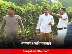 মামা-শ্বশুরকে কুপিয়ে খুনের ঘটনায় গ্রেফতার ভাগ্নি-জামাই