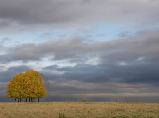 ਪਿਛਲੇ ਕੁਝ ਦਿਨਾਂ ਤੋਂ ਮੌਸਮ ਵਿੱਚ ਬਦਲਾਅ ਆਇਆ ਹੈ। ਪਿਛਲੇ ਕੁਝ ਦਿਨਾਂ 'ਚ ਦਿੱਲੀ ਐਨਸੀਆਰ ਸਮੇਤ ਪੱਛਮੀ ਉੱਤਰ ਪ੍ਰਦੇਸ਼ ਦੇ ਕਈ ਸ਼ਹਿਰਾਂ 'ਚ ਮੀਂਹ ਪਿਆ ਹੈ। ਜਿਸ ਕਾਰਨ ਫਸਲਾਂ ਪ੍ਰਭਾਵਿਤ ਹੋ ਸਕਦੀਆਂ ਹਨ।