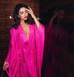 'उसकी आवाज़ सेक्सी और नशीली थी पर मैंने उससे कहा नाक की सर्जरी करवा लो...', जब डायरेक्टर ने प्रियंका चोपड़ा से कर दी थी ऐसी डिमांड