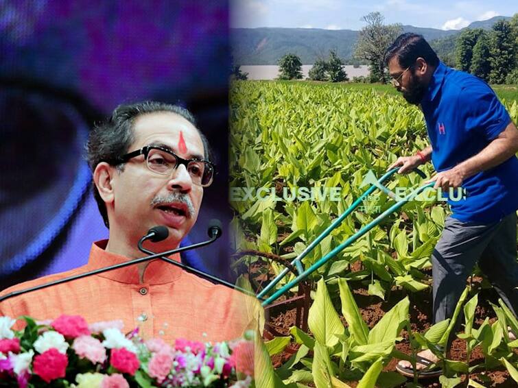 Uddhav Thackeray Slams Eknath Shinde Over Telangana Tour Unseasonal Rain  Farmer Maharashtra News महाराष्ट्राचा शेतकरी वाऱ्यावर सोडून  पंचतारांकीत शेतकरी तेलंगणाला, उद्धव ठाकरेंचा एकनाथ शिंदेंवर हल्ला