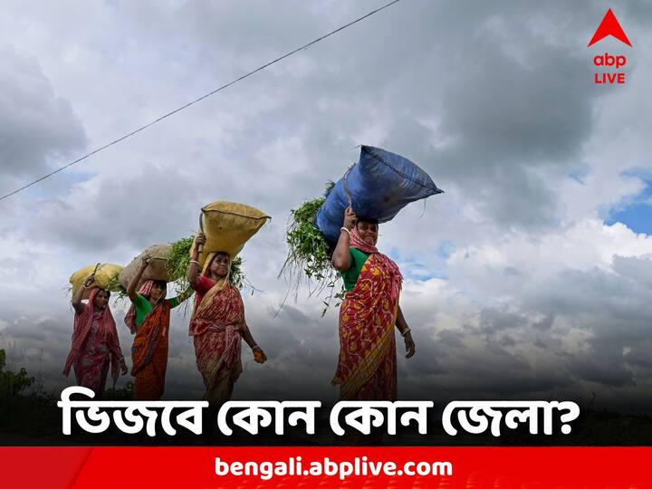 Cyclone Forecast: দক্ষিণ আন্দামান সাগরের নিম্নচাপ শক্তি বাড়িয়ে গভীর নিম্নচাপে পরিণত হয়েছে।