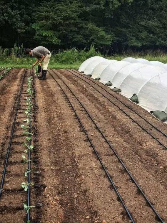 खाली पड़े खेत में उगाएं ये चीजें, होगी जबरदस्त कमाई