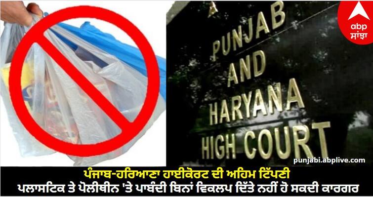 Punjab-Haryana High Court Says Ban On Plastic Cannot Be Effective Without Giving Alternatives know details High Court ਦੀ ਅਹਿਮ ਟਿੱਪਣੀ: ਪਲਾਸਟਿਕ ਤੇ ਪੋਲੀਥੀਨ 'ਤੇ ਪਾਬੰਦੀ ਬਿਨਾਂ ਵਿਕਲਪ ਦਿੱਤੇ ਨਹੀਂ ਹੋ ਸਕਦੀ ਕਾਰਗਰ, ਹੱਲ ਜ਼ਰੂਰੀ