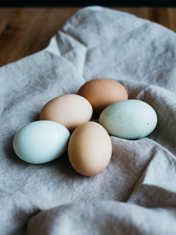 अंडा असली है या नकली, कैसे करें पहचान?