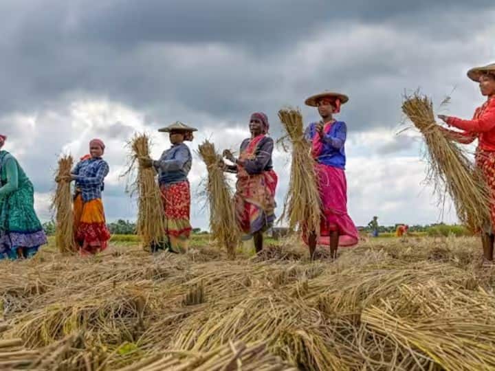 2019 के लोकसभा इलेक्शन में गेम चेंजर बनी किसान सम्मान निधि क्या अब सिर्फ चुनावी खैरात है?