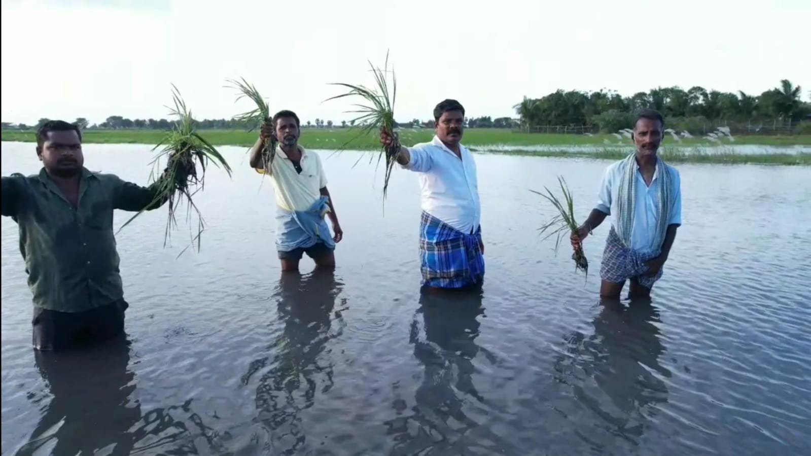 TN Rain: கடலூர் மாவட்டத்தில் தொடர்ந்து பெய்து வரும் மழை - ஆறு போல் காட்சியளிக்கும் விளை நிலங்கள்