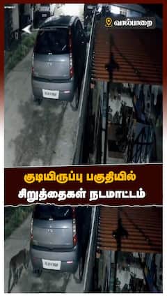 Valparai - வால்பாறை குடியிருப்பு பகுதியில் 3 சிறுத்தைகள் நடமாட்டம் - மக்கள் அச்சம்