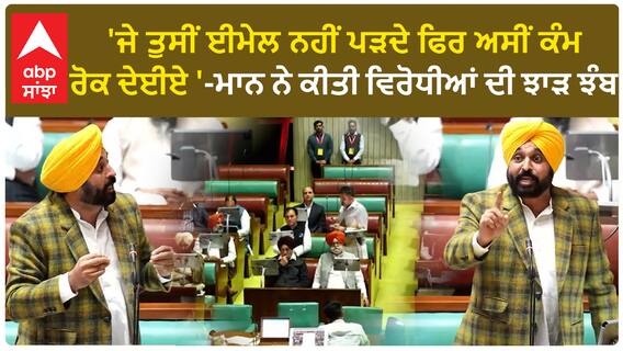 Punjab Politics | 'ਜੇ ਤੁਸੀਂ ਈਮੇਲ ਨਹੀਂ ਪੜਦੇ ਫਿਰ ਅਸੀਂ ਕੰਮ ਰੋਕ ਦੇਈਏ '-ਮਾਨ