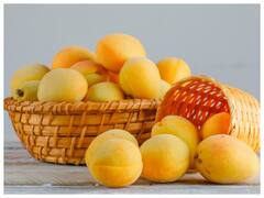 सर्दियों में सबसे ज्यादा लोग खाते हैं खुबानी, जानें एक दिन कितनी खानी चाहिए