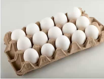 Egg: ਇਨ੍ਹਾਂ ਤਰੀਕਿਆਂ ਨਾਲ ਨਕਲੀ ਅੰਡਿਆਂ ਦੀ ਪਛਾਣ ਕਰਕੇ ਤੁਸੀਂ ਆਪਣੀ ਅਤੇ ਆਪਣੇ ਪਰਿਵਾਰ ਦੀ ਸਿਹਤ ਬਚਾ ਸਕਦੇ ਹੋ, ਆਓ ਜਾਣਦੇ ਹਾਂ ਕਿਵੇਂ?