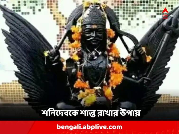 Astrology : Feed and love black dog, Shani Dev will bless you Astro Tips: এই প্রাণীকে সম্মান করলে খুশি হন শনিদেব, অপমানে দেন মারাত্মক পরিণতি