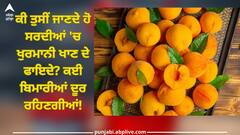 Apricots Benefits: ਕੀ ਤੁਸੀਂ ਜਾਣਦੇ ਹੋ ਸਰਦੀਆਂ 'ਚ ਖੁਰਮਾਨੀ ਖਾਣ ਦੇ ਫਾਇਦੇ? ਕਈ ਬਿਮਾਰੀਆਂ ਦੂਰ ਰਹਿਣਗੀਆਂ! ਪਰ ਪਹਿਲਾਂ ਜਾਣੋ ਰੋਜ਼ਾਨਾ ਕਿੰਨੀ ਖਾ ਸਕਦੇ ਹੋ