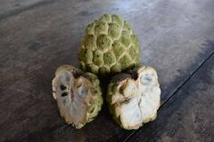 Custard Apple: சீதாப்பழத்தில் இவ்வளவு நன்மைகளா? இதைப் படிங்க!