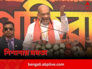 Amit Shah Kolkata Rally: 'পার্থ-অনুব্রত-জ্যোতিপ্রিয়কে সাসপেন্ড করে দেখান’, মমতাকে চ্যালেঞ্জ শাহের