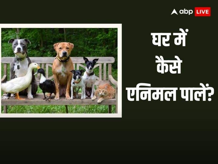 Animal: अक्सर लोग घरों में जानवरों को पालते हैं इन जानवरों को पालने से आपके घर आती है सुख, शांति और समृद्धि. आइये जानते हैं वो कौन से पेट्स या एनिमल हैं जिन्हें हमें घर पर पालना चाहिए.