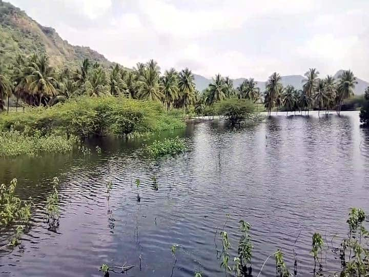 கட்டி முடித்து 18 ஆண்டுகளுக்கு மேல் ஆன பச்சிலை நாட்சி அம்மன் அணைக்கட்டில்,  நீர்க்கசிவால் தேங்கும் நீரை பயன்படுத்த முடியாத அவலம் நிலவி வருகிறது.