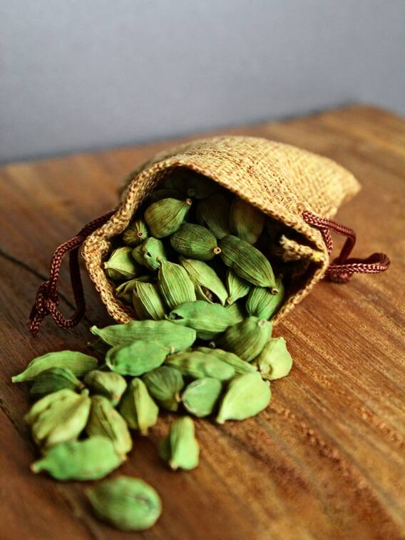 घर पर कैसे उगेगा इलायची का पौधा?