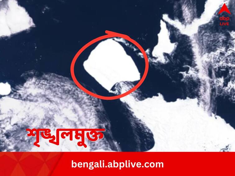 Gigantic Iceberg A23a starts to move after being Stuck for 40 years in Antarctica Iceberg A23a: নিউইয়র্কের চেয়ে তিন গুণ বড়, পৃথিবীর বৃহত্তম হিমশৈল, ৪০ বছরের বন্দিজীবন কাটিয়ে বেরোচ্ছে