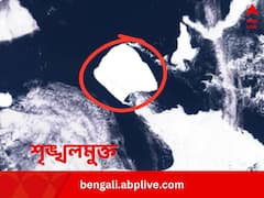 নিউইয়র্কের চেয়ে তিন গুণ বড়, পৃথিবীর বৃহত্তম হিমশৈল, ৪০ বছরের বন্দিজীবন কাটিয়ে বেরোচ্ছে