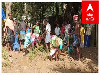 சுதந்திரம் கிடைத்ததில் இருந்து சாலையையே கண்டிராத கிராமம் - சேறும், சகதியுமான சாலையில் நாற்று நட்டு போராட்டம்