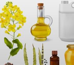 Mustard Oil Benefits: ਸਰਦੀਆਂ 'ਚ ਇਸ ਤਰੀਕੇ ਨਾਲ ਸਰ੍ਹੋਂ ਦੇ ਤੇਲ ਦੀ ਵਰਤੋਂ ਕਰੋ