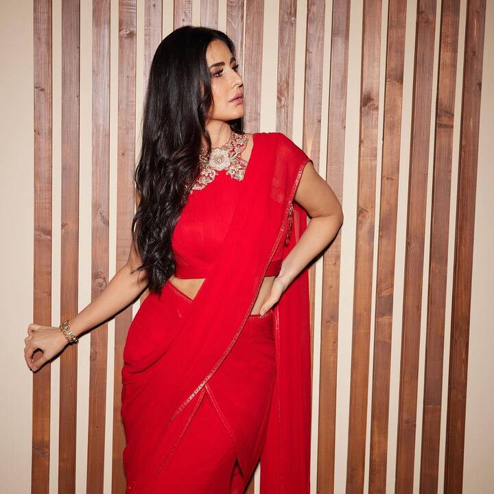 She wore the saree across her shoulders with grace, letting the pallu cascade from her shoulders.