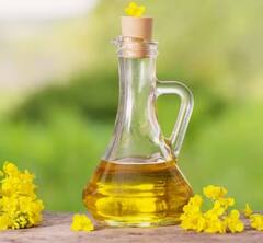 Mustard Oil Benefits: ਸਰਦੀਆਂ 'ਚ ਇਸ ਤਰੀਕੇ ਨਾਲ ਸਰ੍ਹੋਂ ਦੇ ਤੇਲ ਦੀ ਵਰਤੋਂ ਕਰੋ