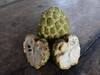Custard Apple: சீதாப்பழத்தில் இவ்வளவு நன்மைகளா? இதைப் படிங்க!