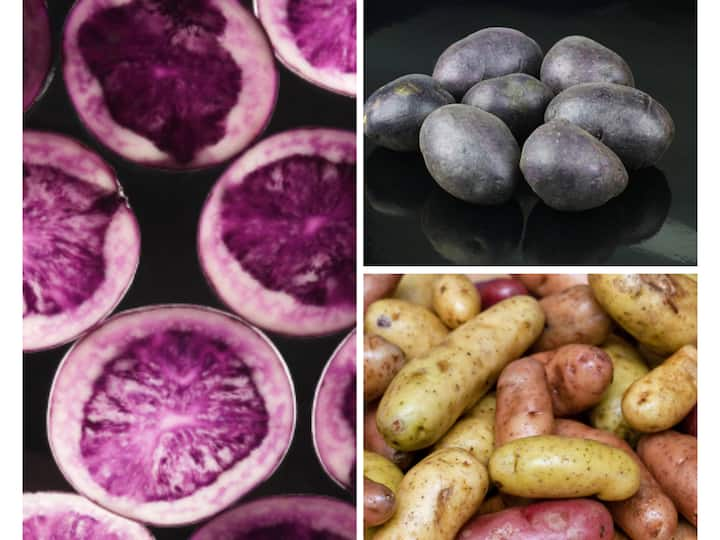 Potato is a staple food in most households and you can enjoy it in a number of ways. Although we tend to avoid consuming too many, here are some varieties which can be a healthy alternative.